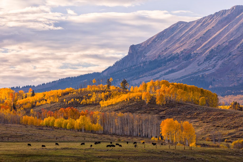 Gunnison, Colorado What is it like to live in Gunnison, Colorado?