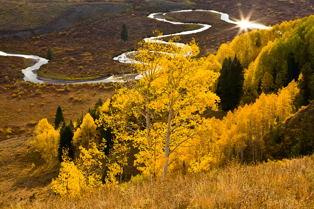 black-canyon-of-the-gunnison-area-road-map